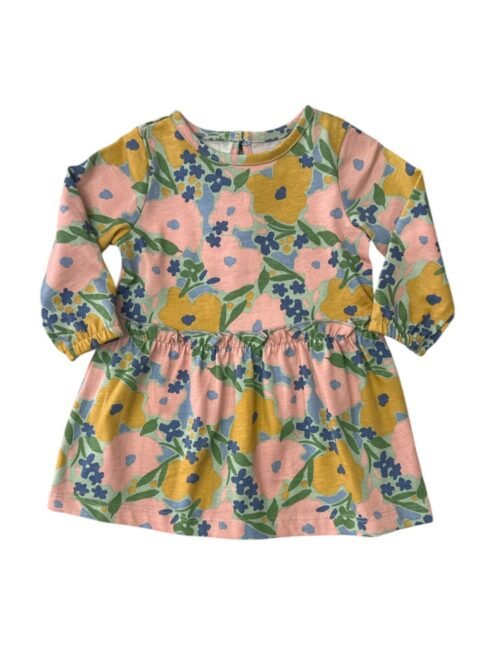 Vestido Carter’s