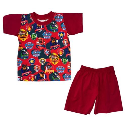 Set Paw Patrol