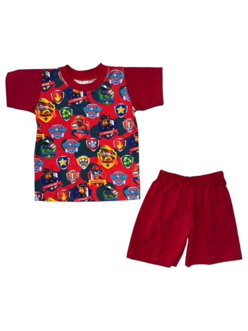 Set Paw Patrol