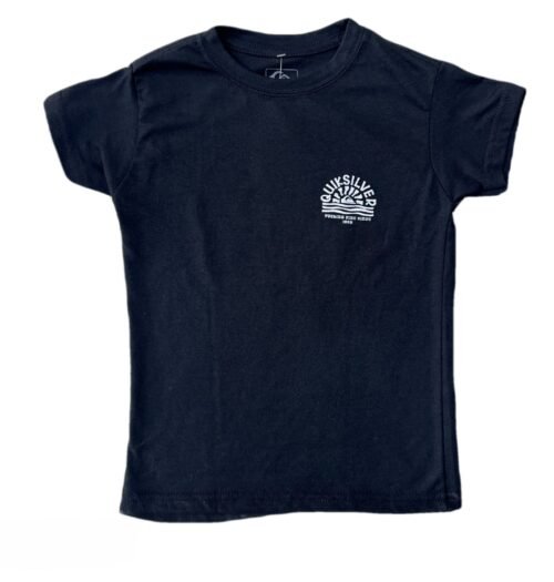 Promo Camisa Quiksilver
