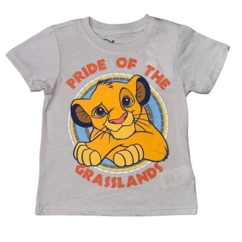 Camisa Disney