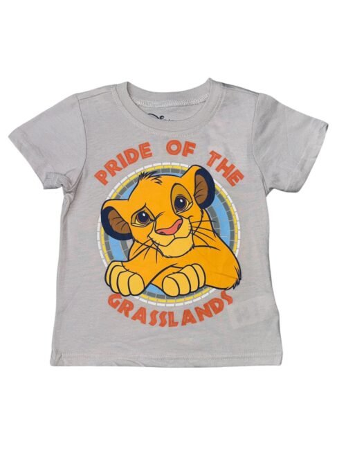 Camisa Disney
