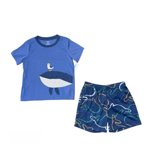 Set Carters
