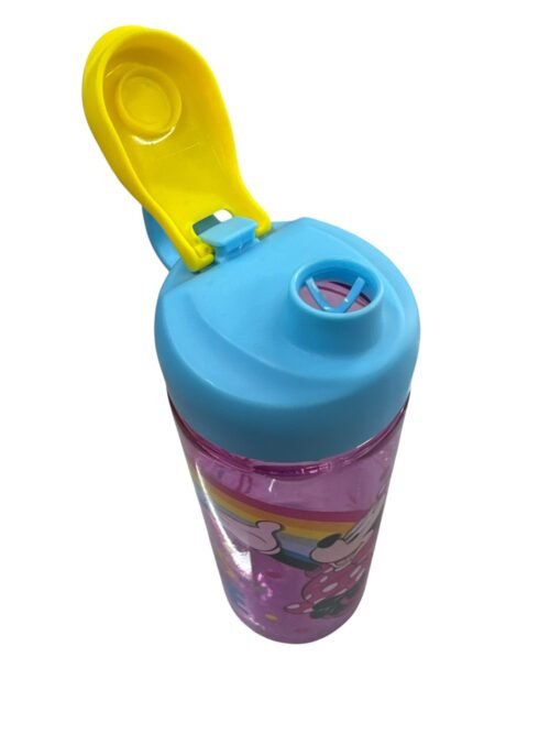Botella Zak Minnie