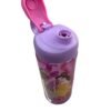 Botella Zak Princesas Disney