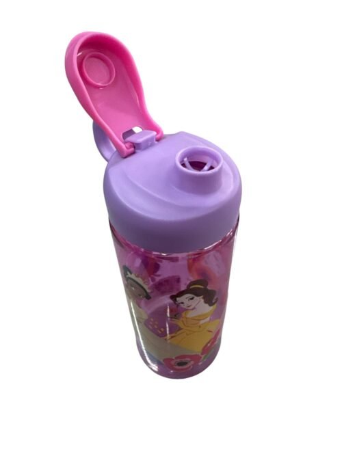 Botella Zak Princesas Disney