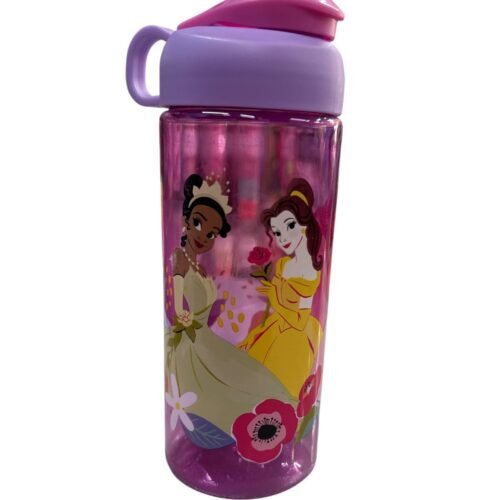 Botella Zak Princesas Disney
