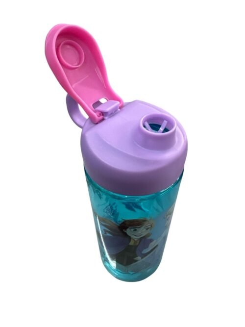 Botella Zak Frozen