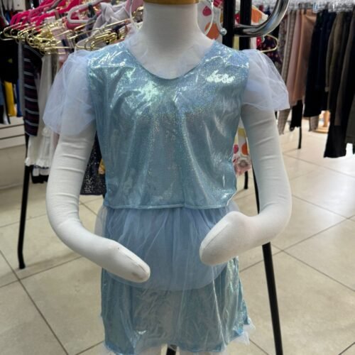 WhatsApp Image 2025-08-28 at 13.26.16 (1) Disfraz Cenicienta