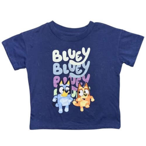 Camisa Bluey