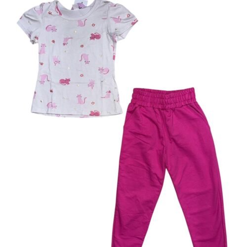 WhatsApp Image 2025-12-01 at 14.35.18 Set Gatitos Esencia