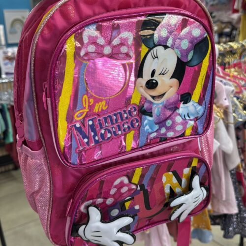 WhatsApp Image 2026-01-27 at 09.58.50 Bulto Minnie