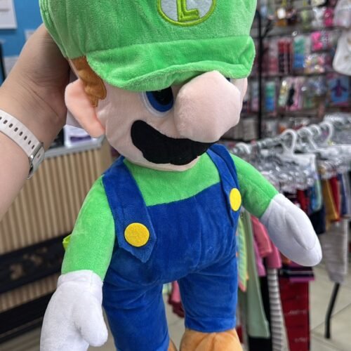 WhatsApp Image 2026-01-27 at 10.05.23 Bolso Luigi